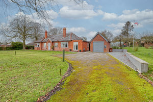 Frontal- click for photo gallery